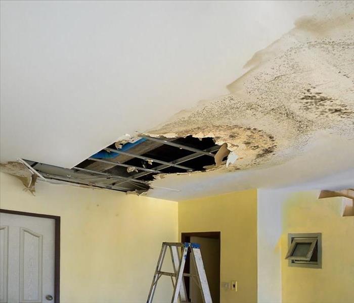 Damaged Ceiling from Water