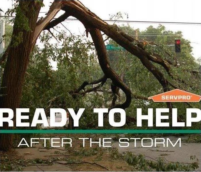 tree that has fell down in the middle of the road, street lights in background, "Ready to help after the storm"