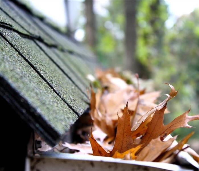 side of roof with gutters full of leaves